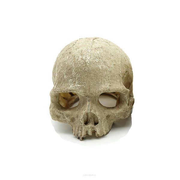 Reptile Nova Dekoracja rozmiar 11x14cm RN0557A-H