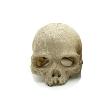 Reptile Nova Dekoracja rozmiar 11x14cm RN0557A-H