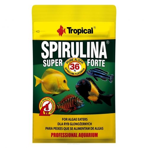 Super Spirulina Forte Pokarm