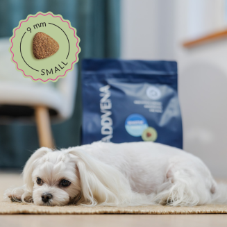 Karma sucha dla psa Addvena power of nature sensitive small 10kg - 2