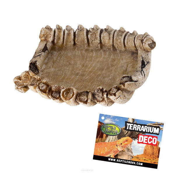 Reptile Nova Miska Dekoracja 14x13x4cm REP-DISH-BONE Akcesoria