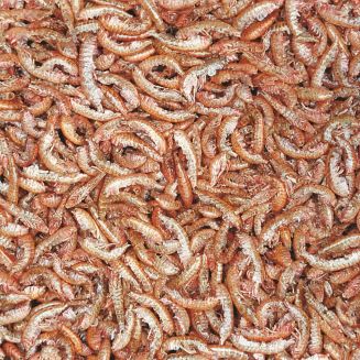 Tropical GAMMARUS 12G Pokarm - 2