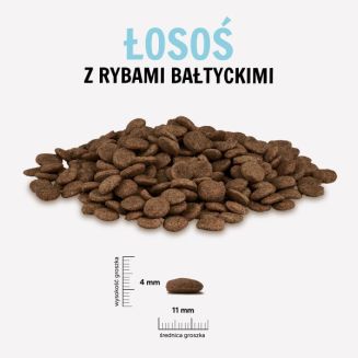 Karma sucha dla psa PAKA ZWIERZAKA łosoś z rybami bałtyckimi M 1,5 kg - 2