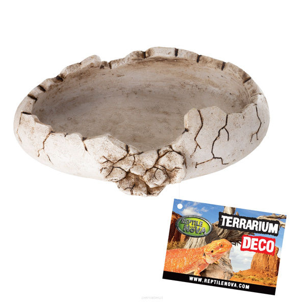 Reptile Nova Miska Dekoracja 15,7x11,5x4cm REP-DISH-DINO Akcesoria