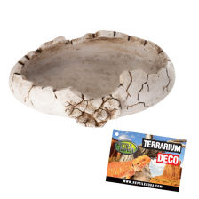Reptile Nova Miska Dekoracja 15,7x11,5x4cm REP-DISH-DINO Akcesoria