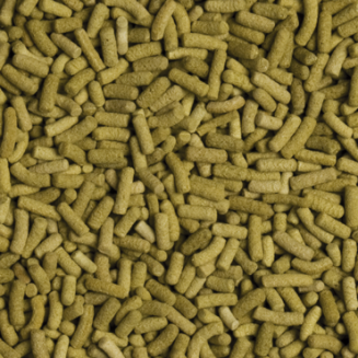 Tropical Biorept L Pokarm - 2