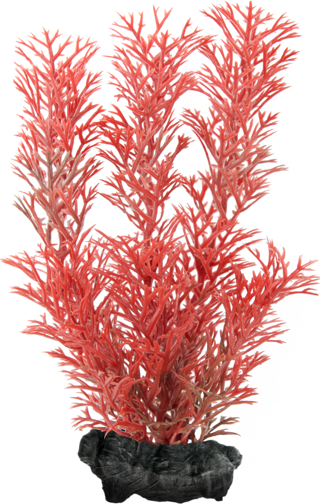 Ozdoba akwariowa DecoArt Plant S Foxtail Red TETRA