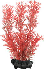 Ozdoba akwariowa DecoArt Plant S Foxtail Red TETRA