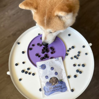 Przysmak dla psa i kota Lio PEPE blueberry borówka 15 g - 2