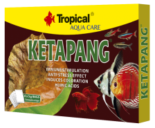Tropical Ketapang Pokarm
