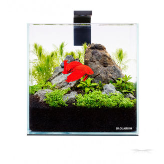 PicoSet 5L Zestaw Akwariowy - 2