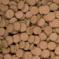 Tropical Supervit Tablets A Pokarm - 2