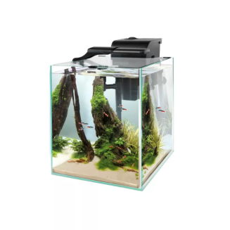 Aquael Shrimp Set Duo 35 2.0 Akwarium Krewetkarium Czarny Zestaw Akwariowy - 2