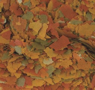 Tropical Vitality & Color Pokarm 12g - 2