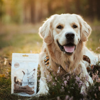 Przysmak dla psa PEPE horse koń 70 g - 2