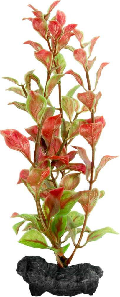 TETRA Ozdoba akwariowa DecoArt Plant L Red Ludwigia