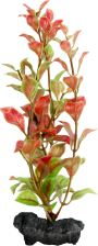 TETRA Ozdoba akwariowa DecoArt Plant L Red Ludwigia